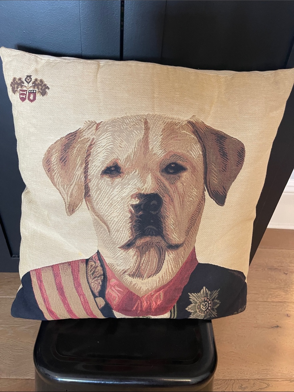Decorative 18 x 18 Labrador Dog Portrait Throw Pillow - Home Holiday